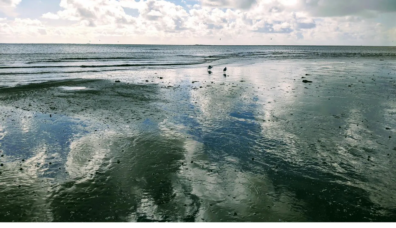 La côte et les reflets à marée basse au Pouliguen